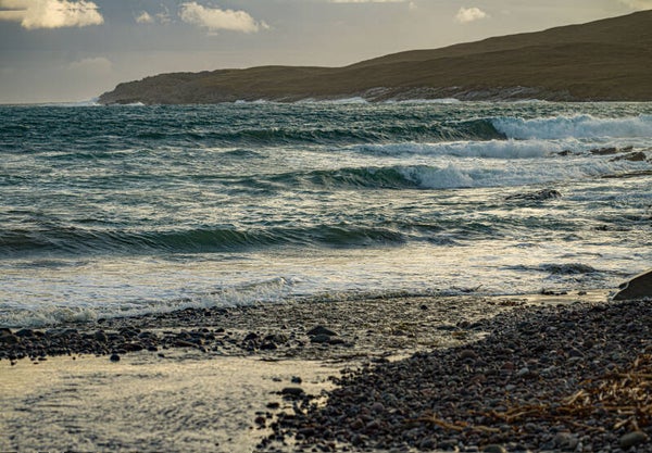 Gulberick Shetland