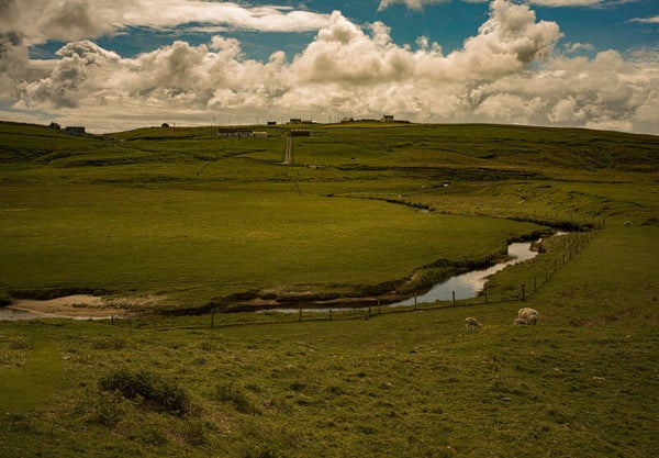 Unst Shetland