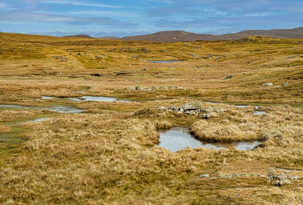 Walls Shetland