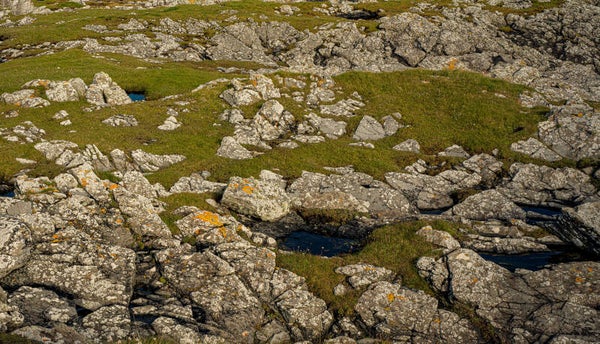 Grutness Sumburgh Shetland