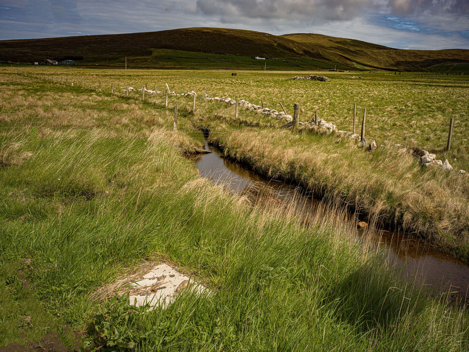 Unst Shetland