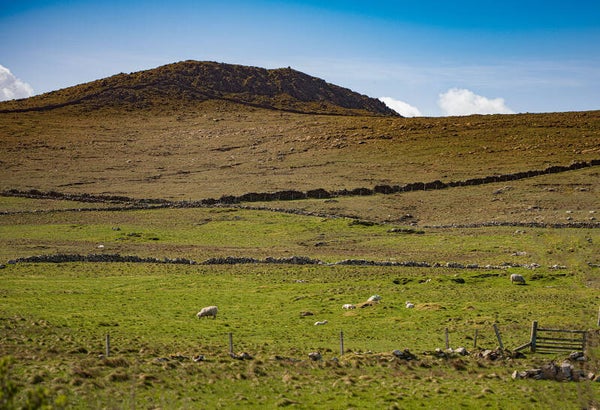 Unst Shetland