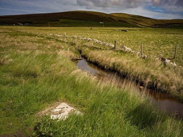 Unst Shetland