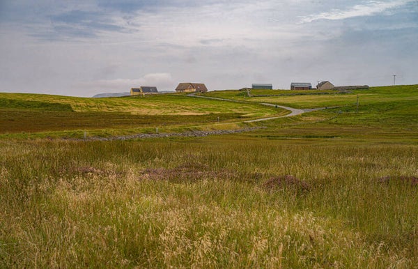 Gulberwick