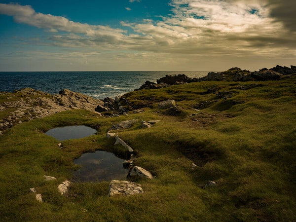 Grutness Sumburgh Shetland