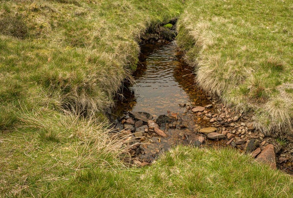 Unst Shetland