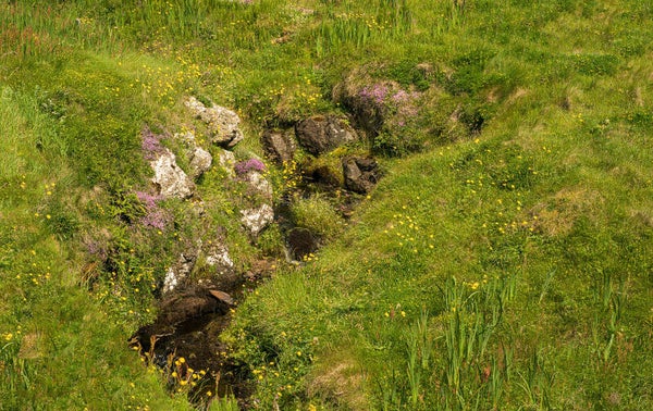 A burn Gulberwick Shetland