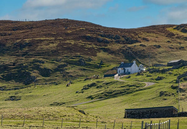 Walls Shetland