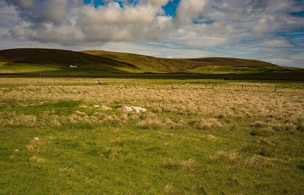 Unst Shetland