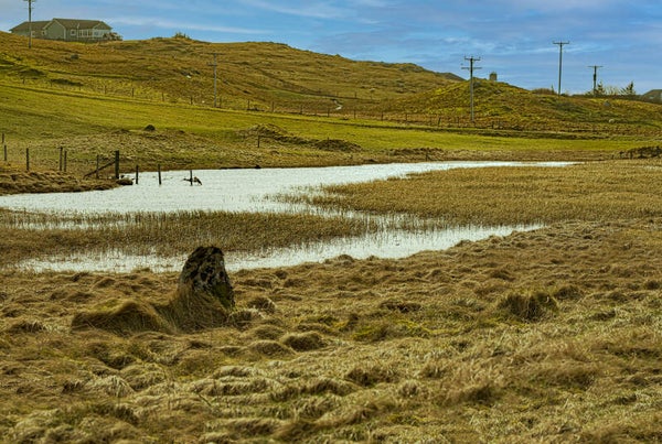 Walls Shetland