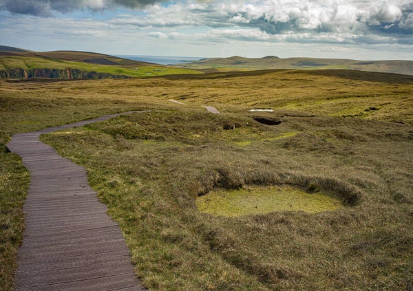 Unst Shetland