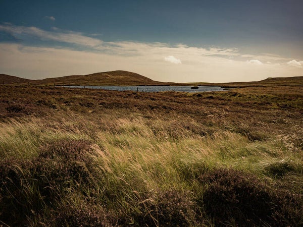 Gulberwick Shetland