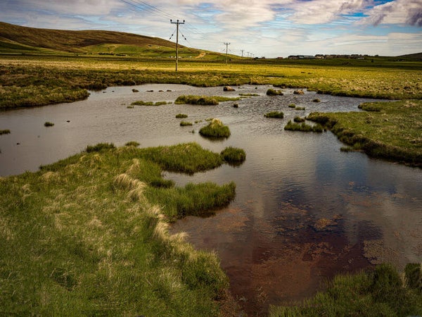Unst Shetland