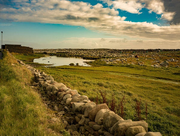 Grutness Sumburgh Shetland
