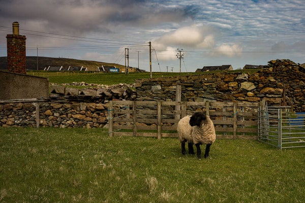 Haroldswick Unst Shetland