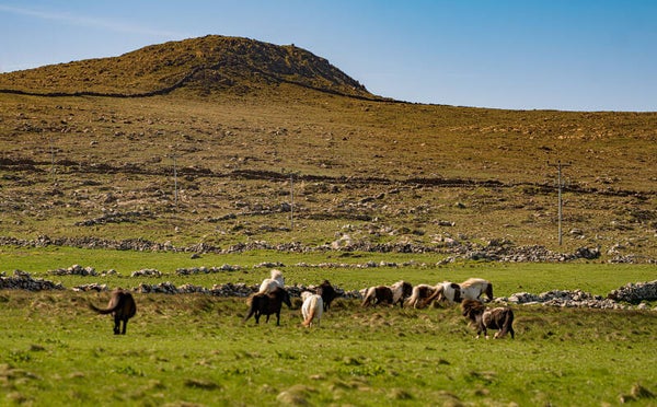 Unst Shetland