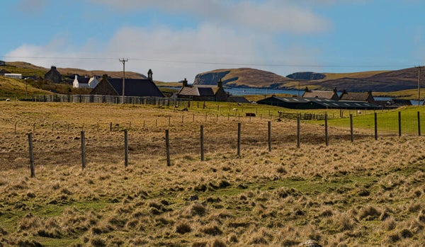 Walls Shetland