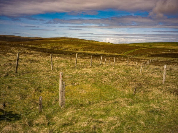 Unst Shetland