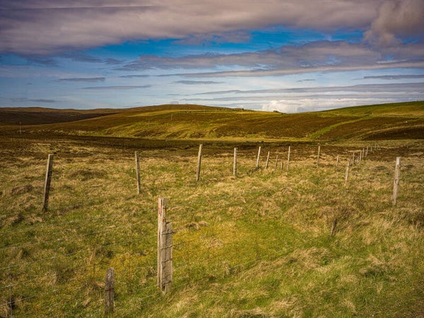 Unst Shetland