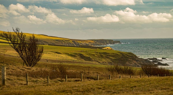 Gulberwick Shetland