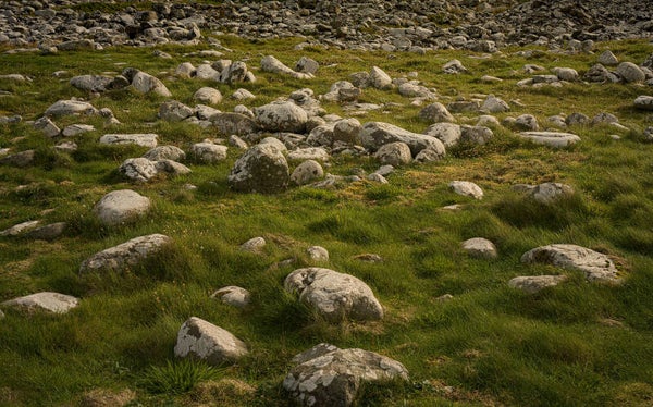 Grutness Sumburgh Shetland
