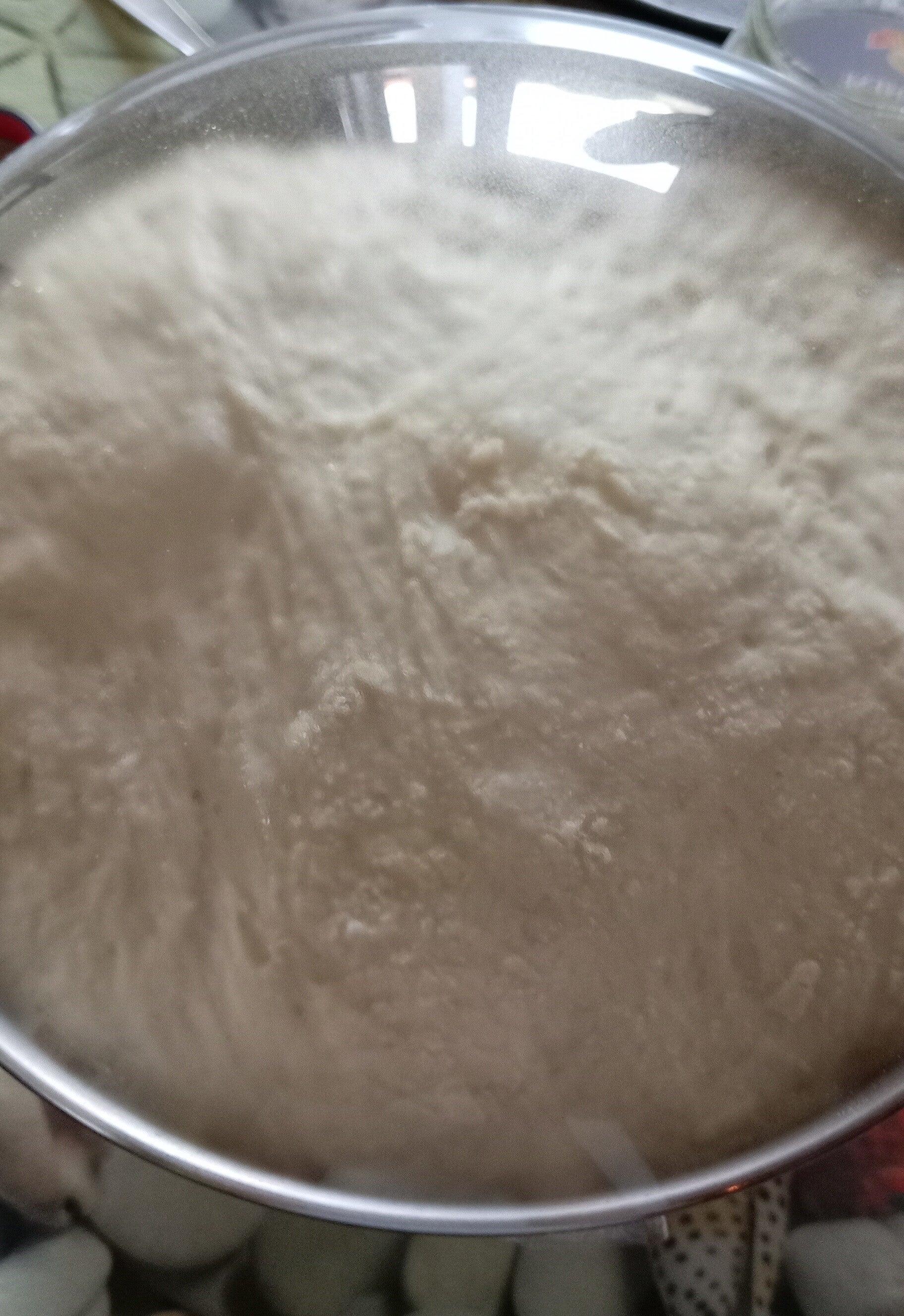 Impasto della pizza in lievitazione.