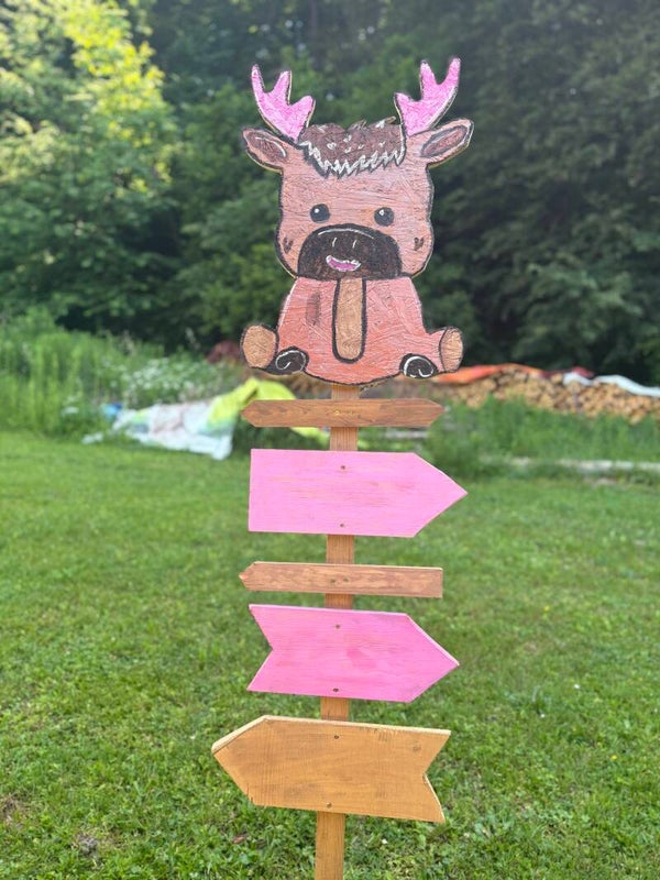 Störche