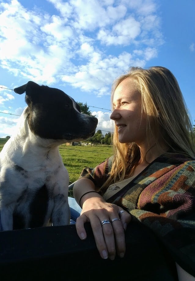 paardencoaching