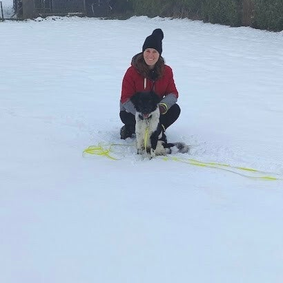 Labrador x Appenzeller