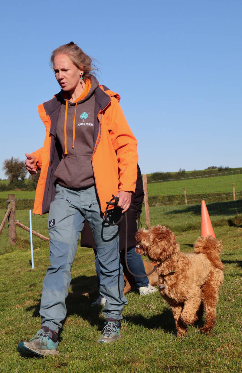 stress bij honden herkennen