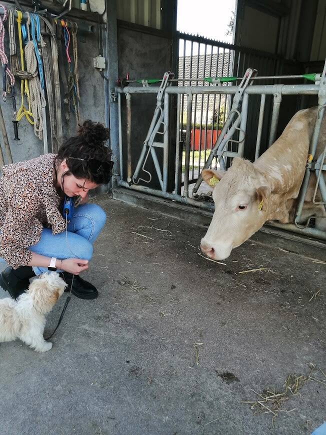 Socialiseren