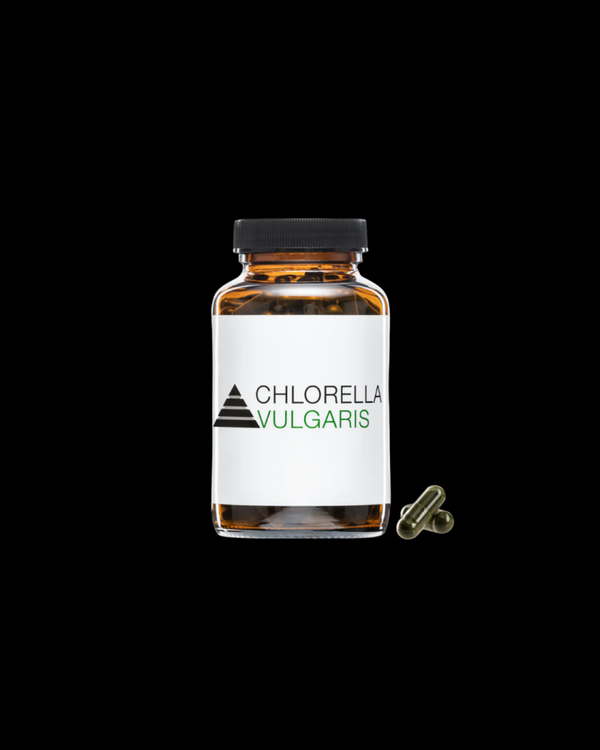 Chlorella Vulgaris