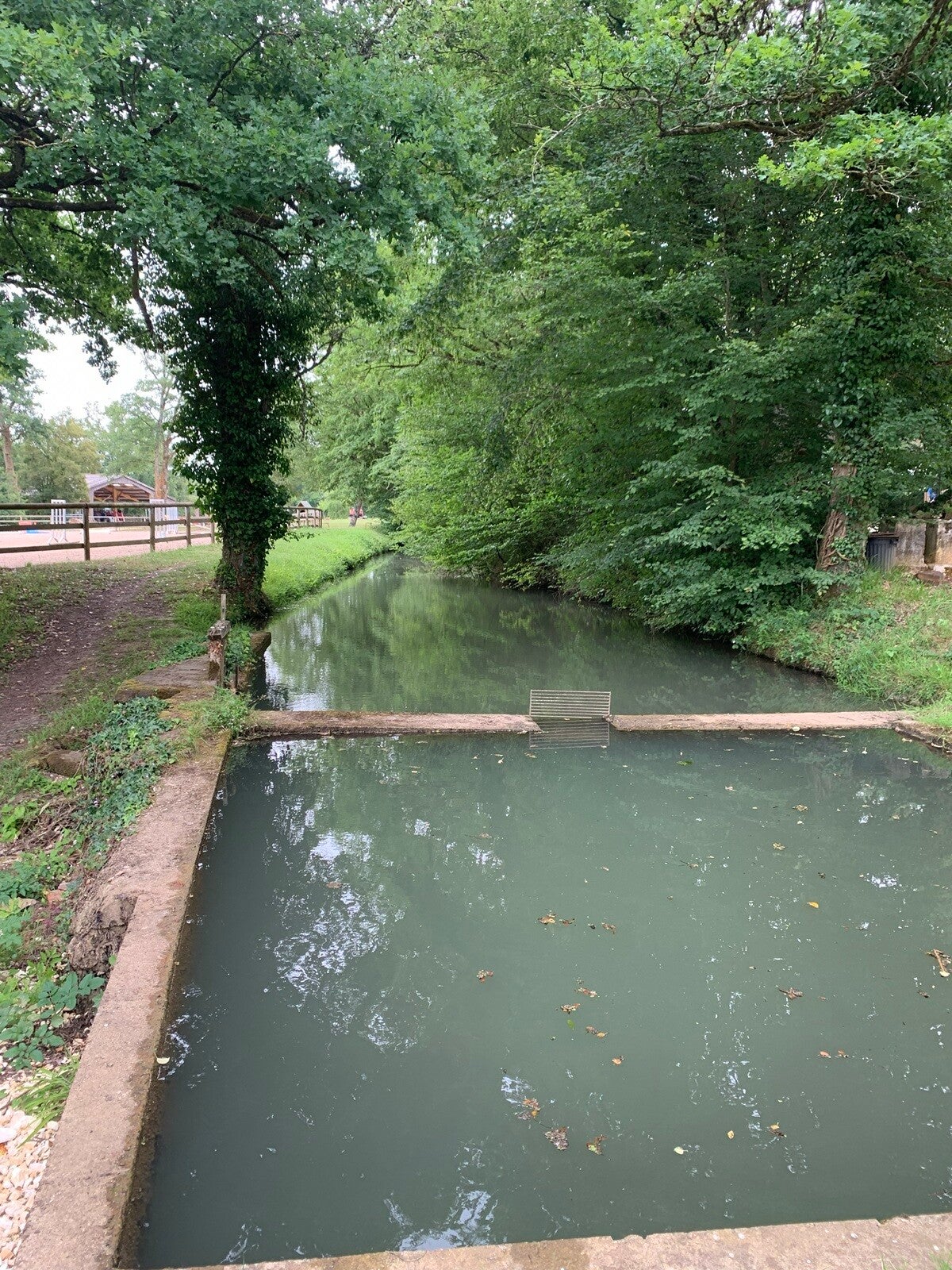 étang-moulin-du-Tirepeine-Subligny