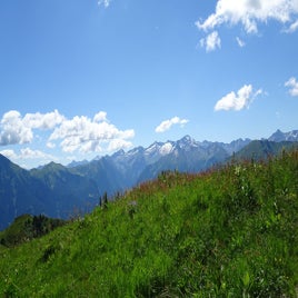 0d92e18f-fd80-4186-9c00-00983e47bfd6-standard-rvob9l.jpg
