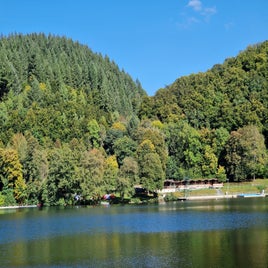3b0486e2-0ff3-4805-bd29-45626b0c2aaf-standard.jpg