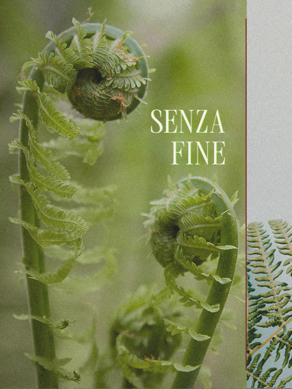Senza fine