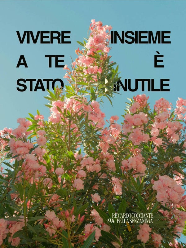 Vivere insieme