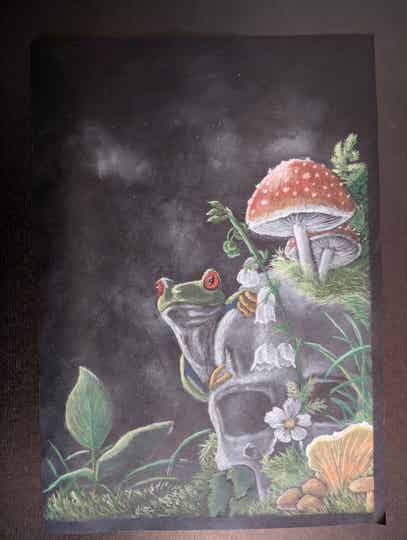 "Frosch auf Schwarz"