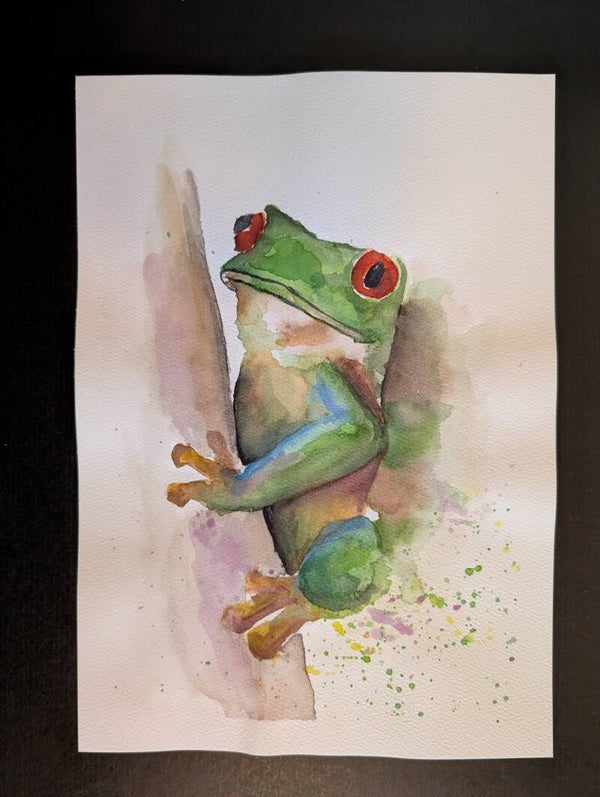 "grüner Frosch"