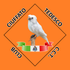 clubciuffatotedesco