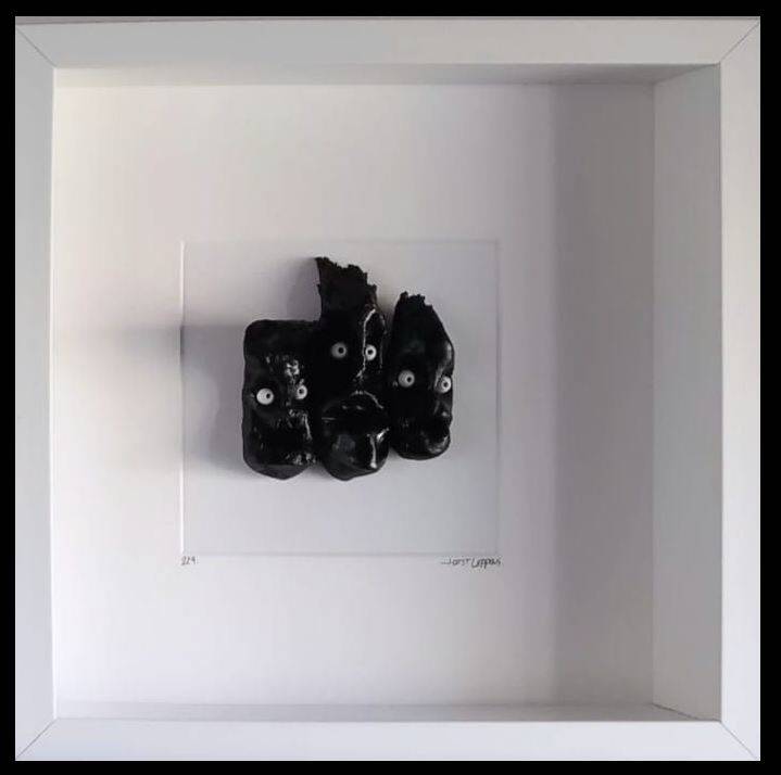 Joost Leppens nr 229