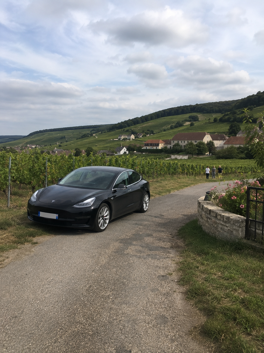 Escapade dans les vignes