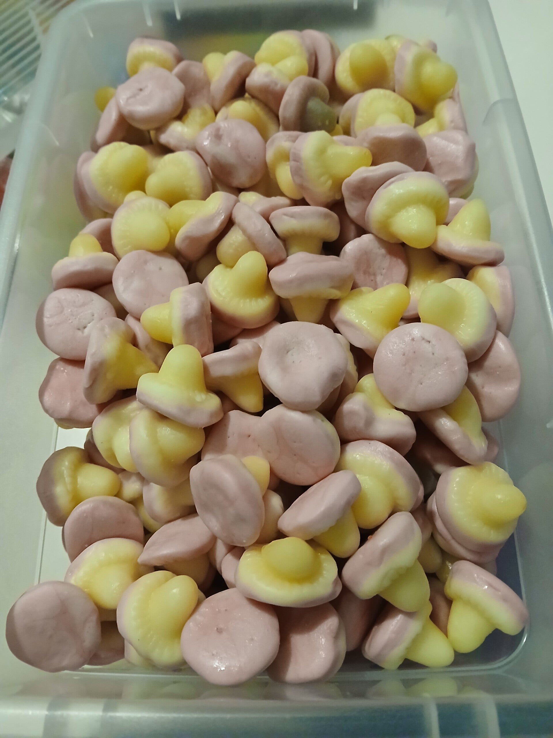 Champignon lisse halal