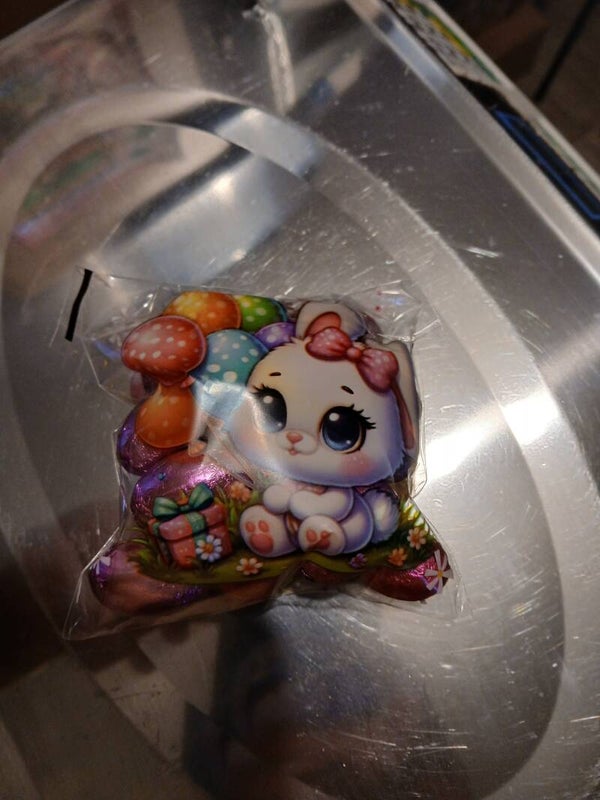 Sachet de 20 oeuf alu praliné assorti