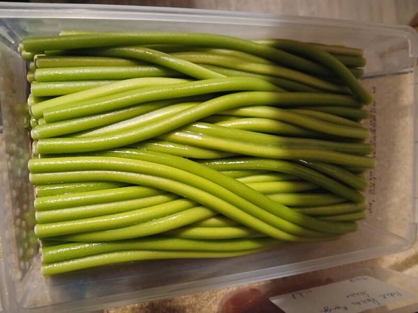 stixx pomme vendu en lot de 5