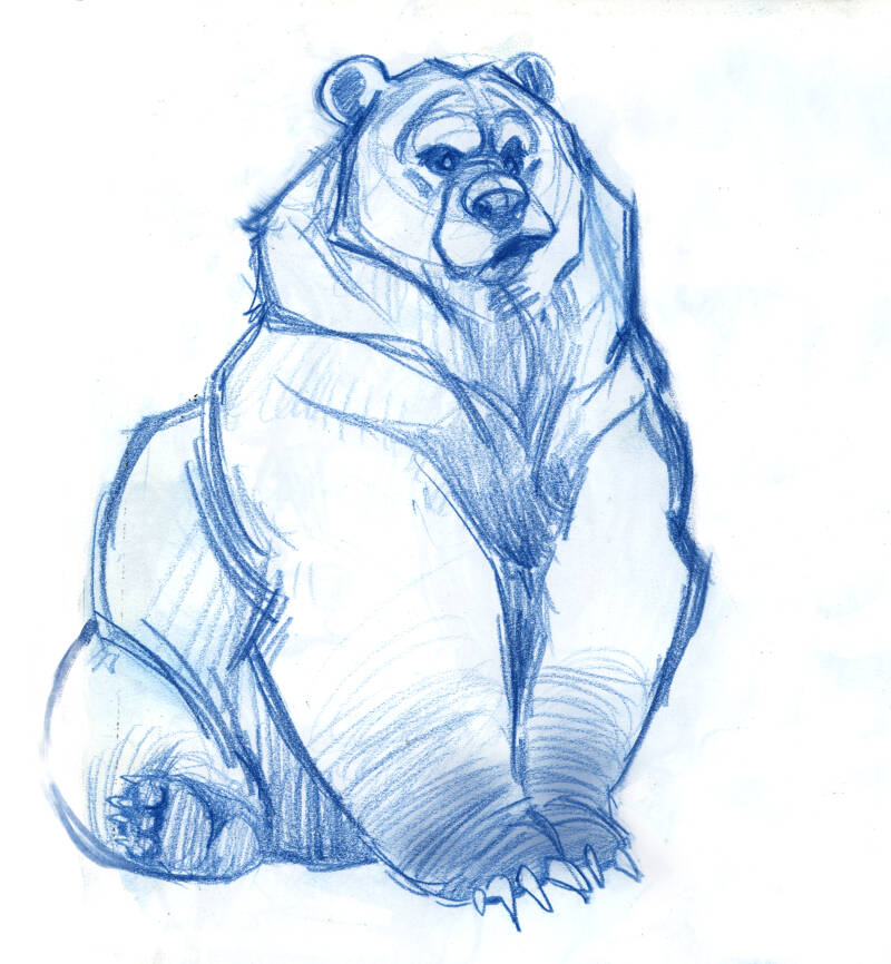 bear03copy.jpg