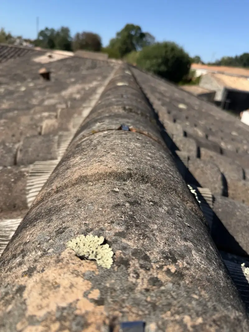 Gros plan du faîtage et des lichens sur une toiture, photo réelle NEA