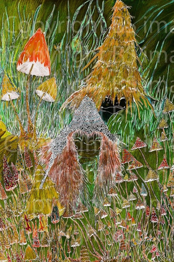 Les lutins champignon