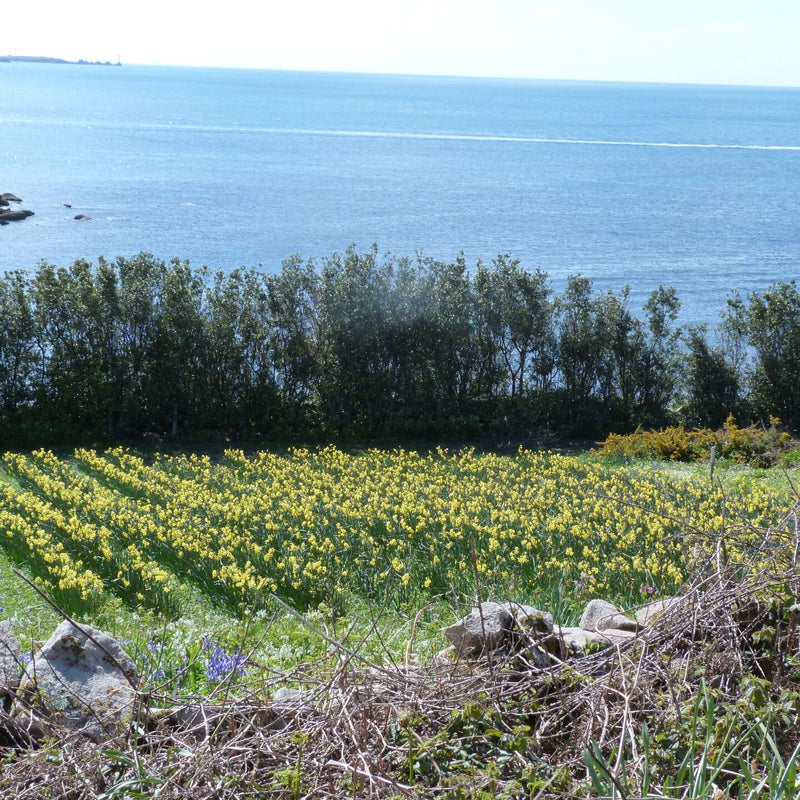 P1030680-1.jpg