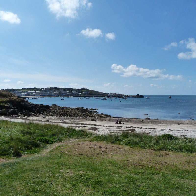 P1030677-1.jpg